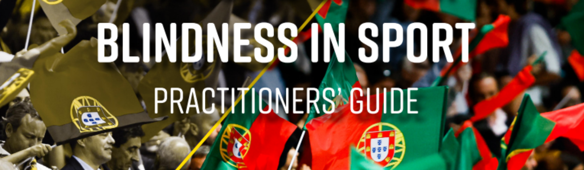 TACBIS Practitioners’ Guide – Danish Version header